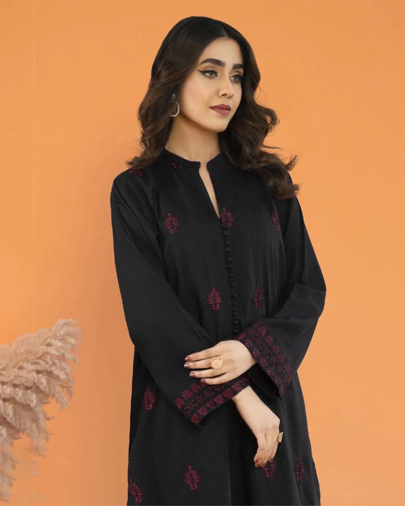 Dhanak-2pc Embroidered-3499